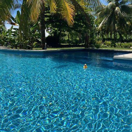 Sand Dollar Beach Bed & Breakfast Bocas del Toro Exterior foto