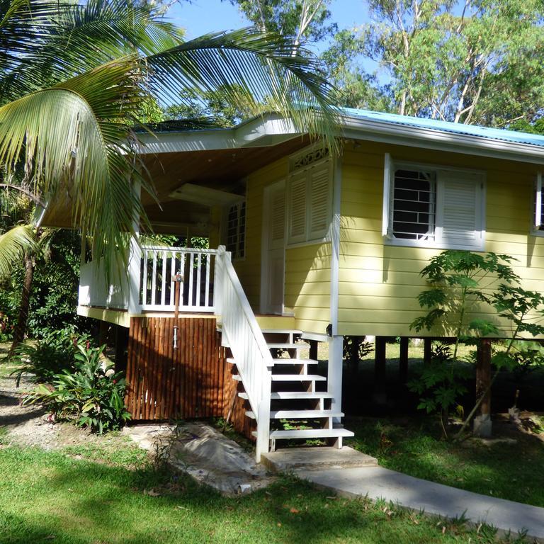 Sand Dollar Beach Bed & Breakfast Bocas del Toro Quarto foto